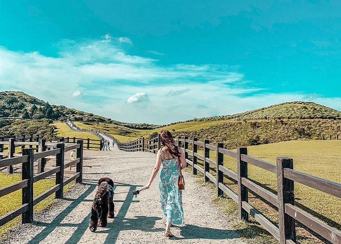 TẠI SAO NÊN ĐI DU HỌC ĐÀI LOAN