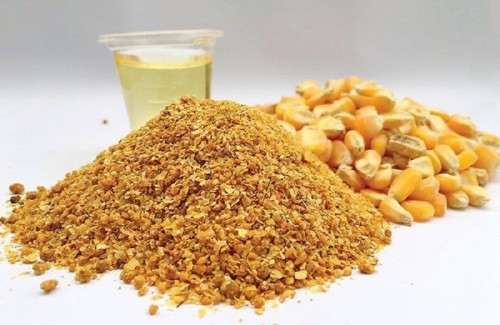 CÁC NGUYÊN LIỆU THAY THẾ TRONG SẢN XUẤT THỨC ĂN CHĂN NUÔI: LỢI ÍCH, CHI PHÍ VÀ RỦI RO