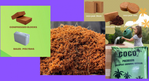 XƠ DỪA XUẤT KHẨU