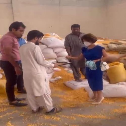 HÌNH ẢNH CEO LÀM VIỆC VỚI ĐỐI TÁC PAKISTAN